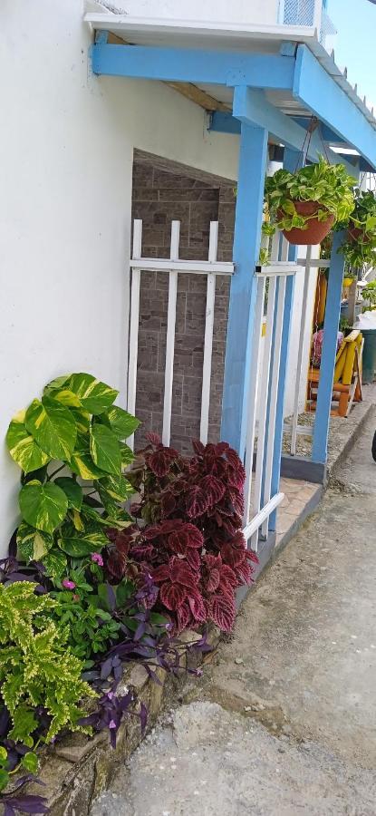 Posada Aleeny Providencia  Dış mekan fotoğraf