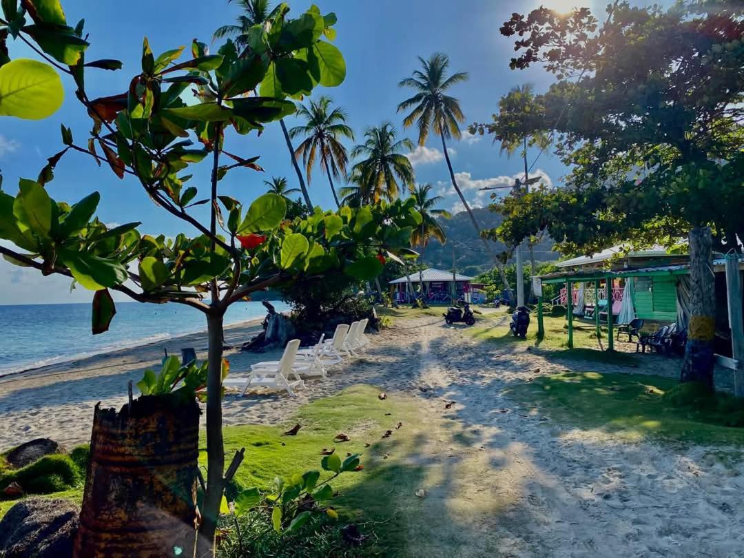 Posada Aleeny Providencia  Dış mekan fotoğraf